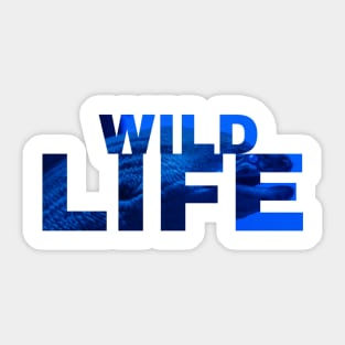 Wild Life Sticker